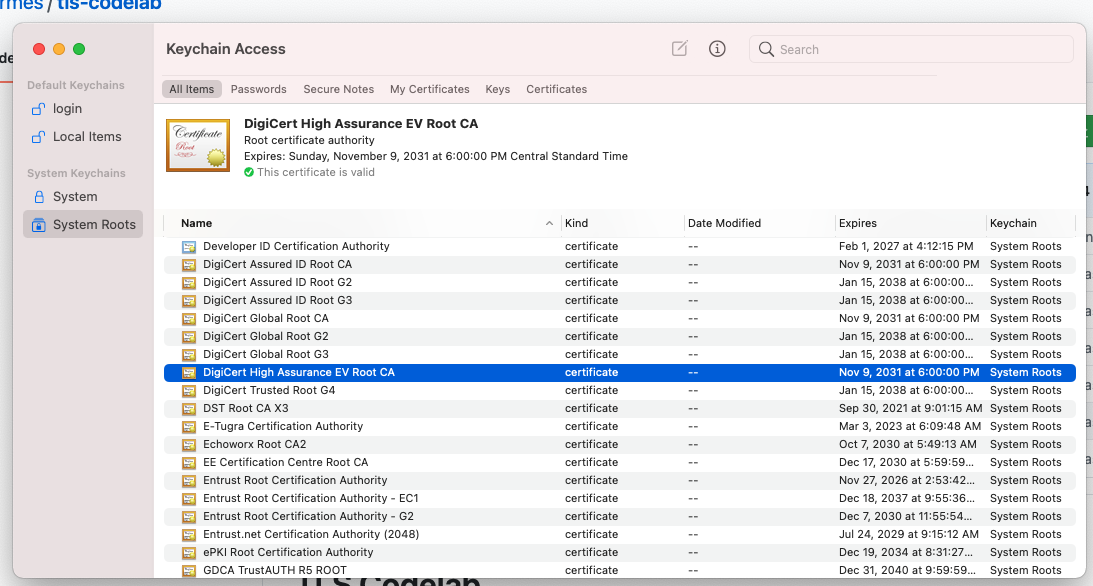 Keychain Access; System Roots